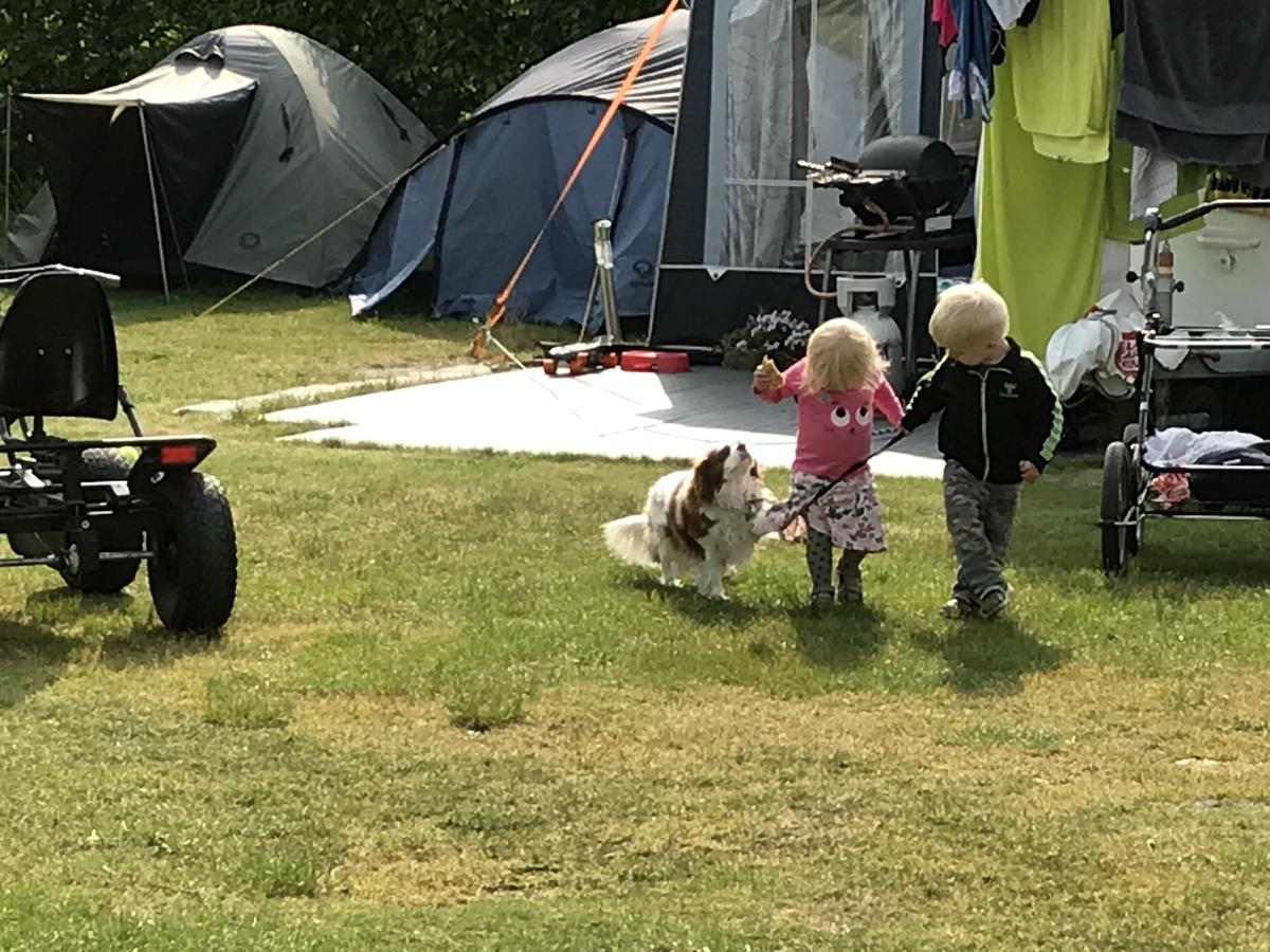 Vorbasse Camping Kültér fotó